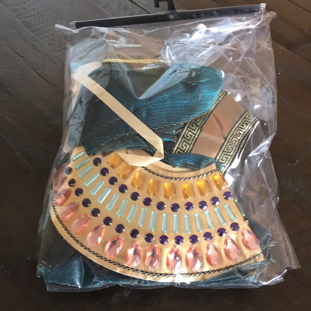 Cleopatra costume